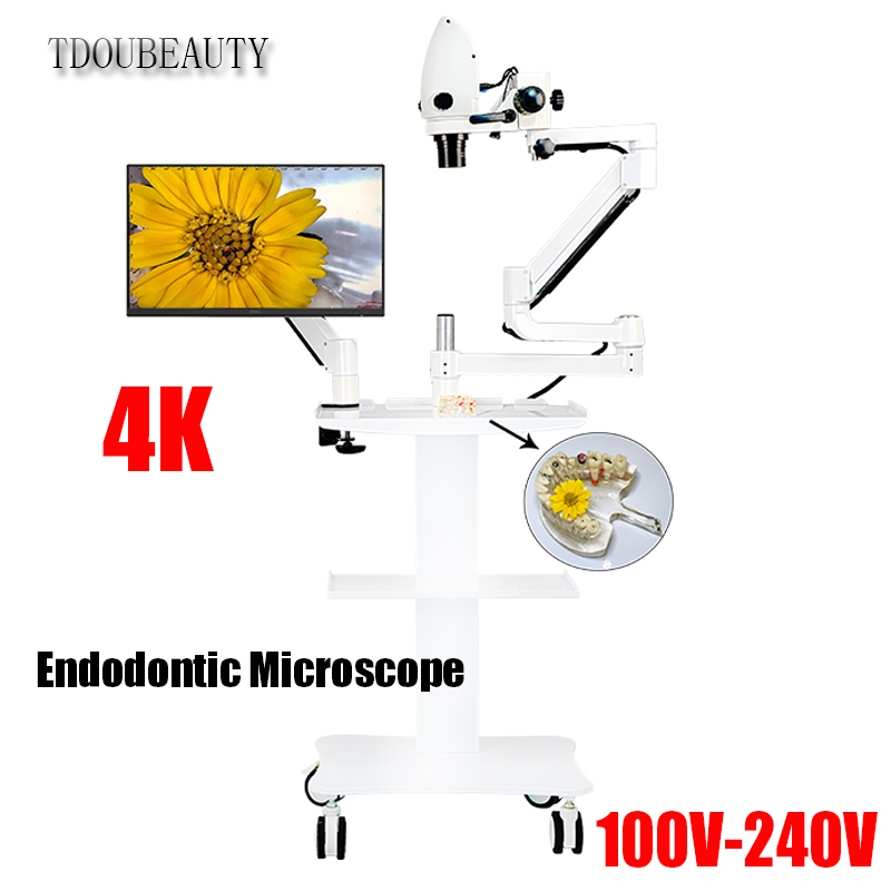 4K-Zahnelektronenmikroskop, 20 – Teeth Whitening Video Bewertung und Preis