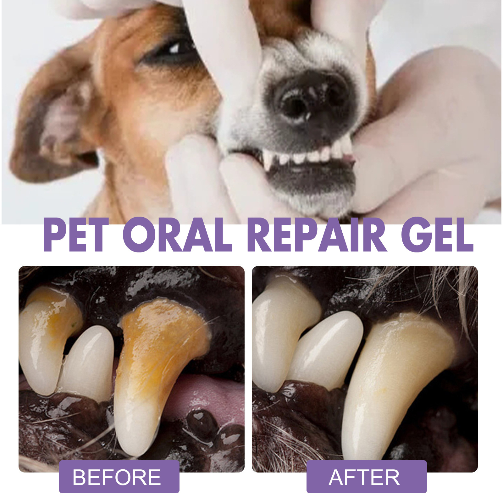 Pet Oral Repair Gel Welpen Zah – Teeth Whitening Diy Bewertung und Preis