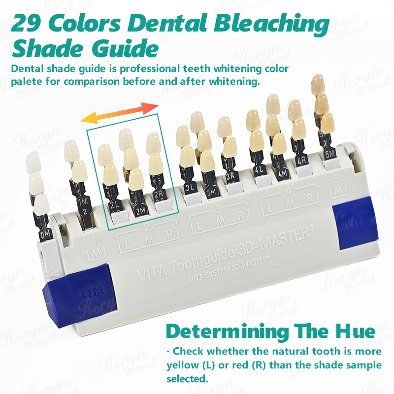 Vita 3D Master Dental Lab Blea – Teeth Whitening Bleach Bewertung und Preis